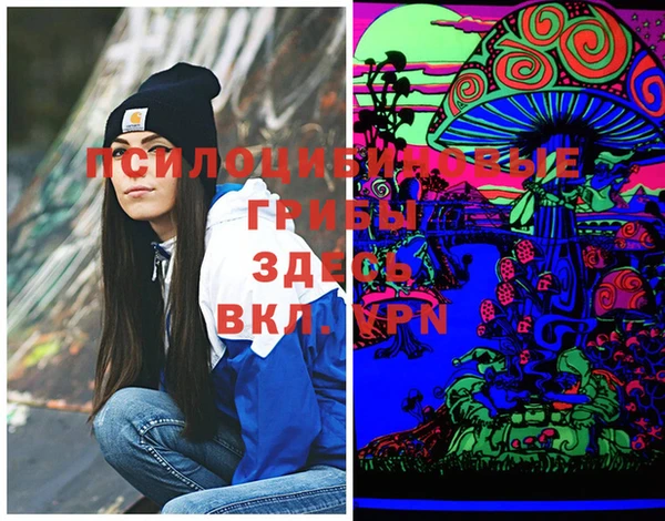 не бодяженный Аркадак